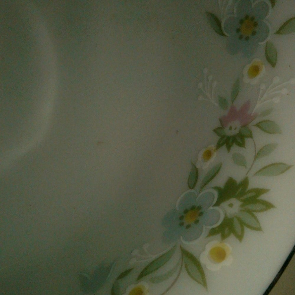 JOHANN HAVILAND CHINA DESSERT BOWL